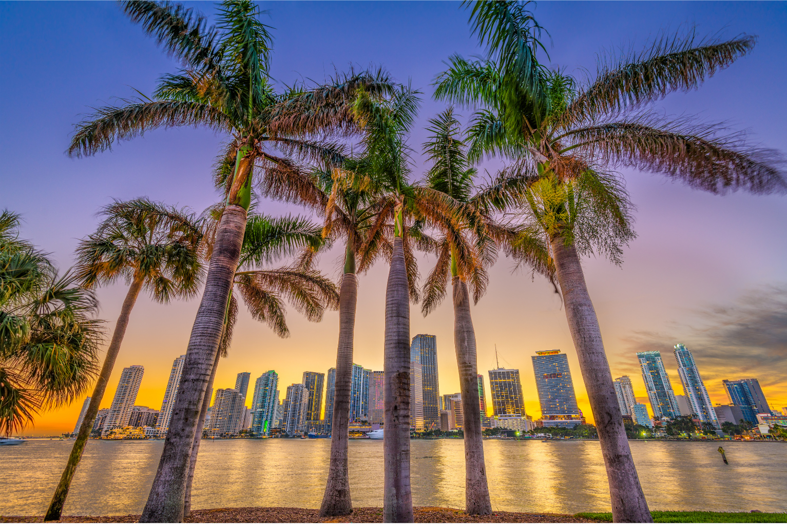 Primera Gala Miami
